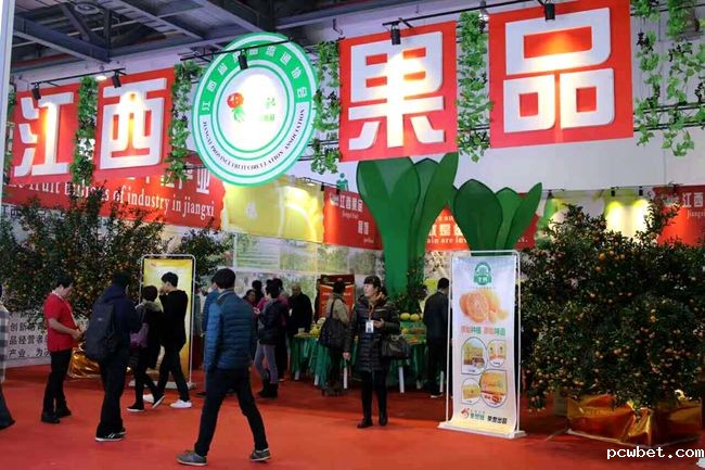 44331637284809893_副本