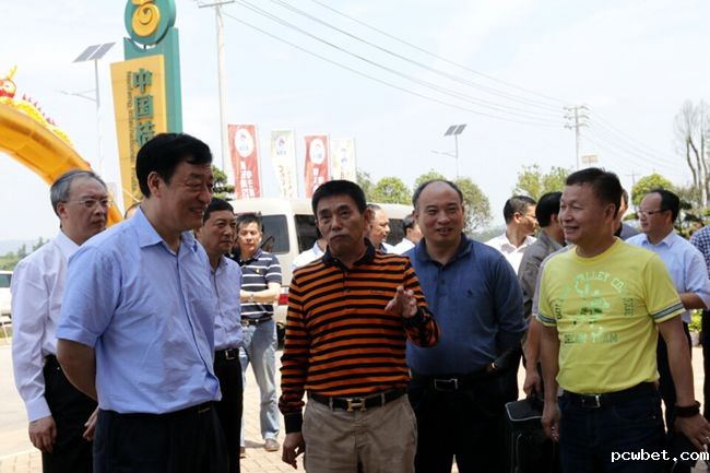 459521287560163842_副本